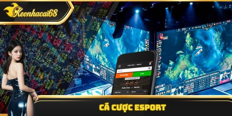 C&aacute; Cược Esport &ndash; Đặt Cược Nhanh, Nhận Lợi Nhuận Cực Khủng