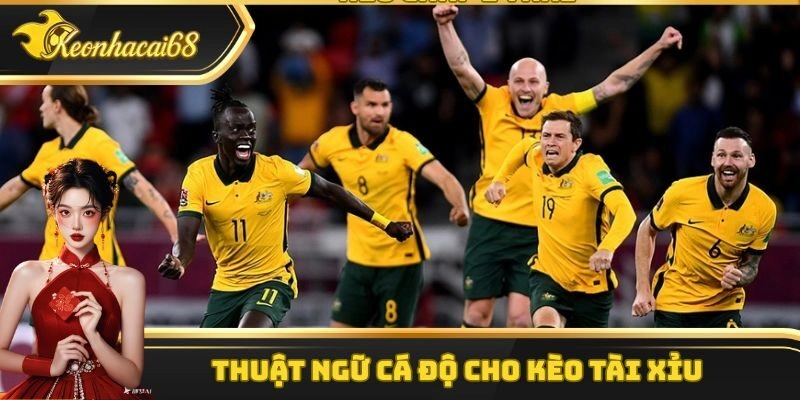 C&aacute;c thuật ngữ xuất hiện tại k&egrave;o t&agrave;i xỉu