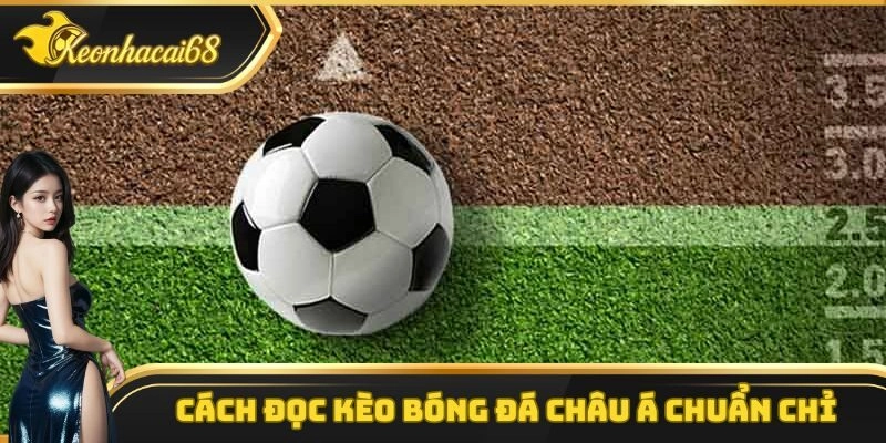 Hướng dẫn th&agrave;nh vi&ecirc;n c&aacute;ch đọc k&egrave;o b&oacute;ng đ&aacute; ch&acirc;u &Aacute; chi tiết