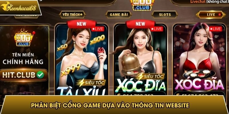 Ph&acirc;n biệt cổng game ch&iacute;nh chỉ dựa v&agrave;o th&ocirc;ng tin website