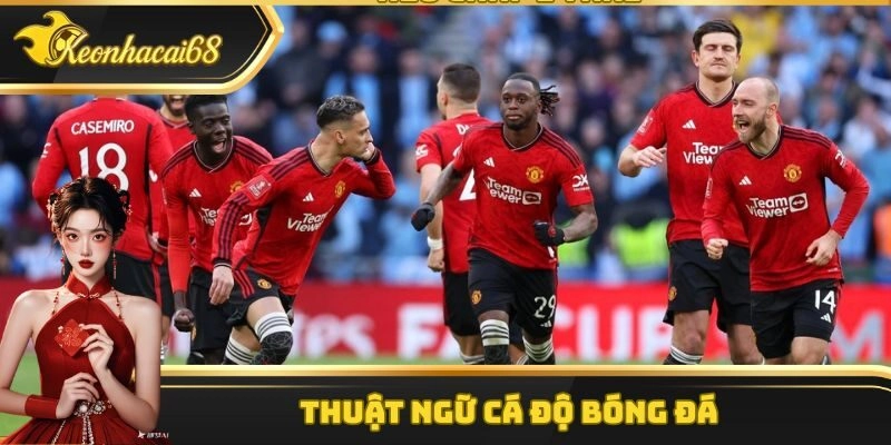 Thuật Ngữ C&aacute; Độ B&oacute;ng Đ&aacute;