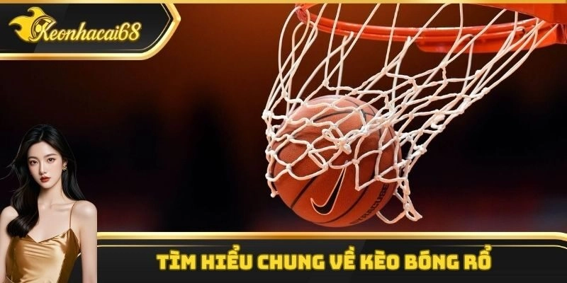 T&igrave;m hiểu chung về k&egrave;o b&oacute;ng rổ tại nh&agrave; c&aacute;i