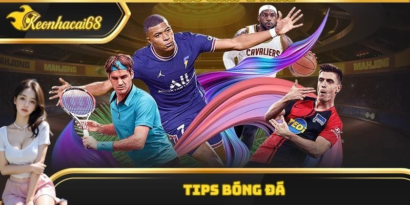 Tips B&oacute;ng Đ&aacute;